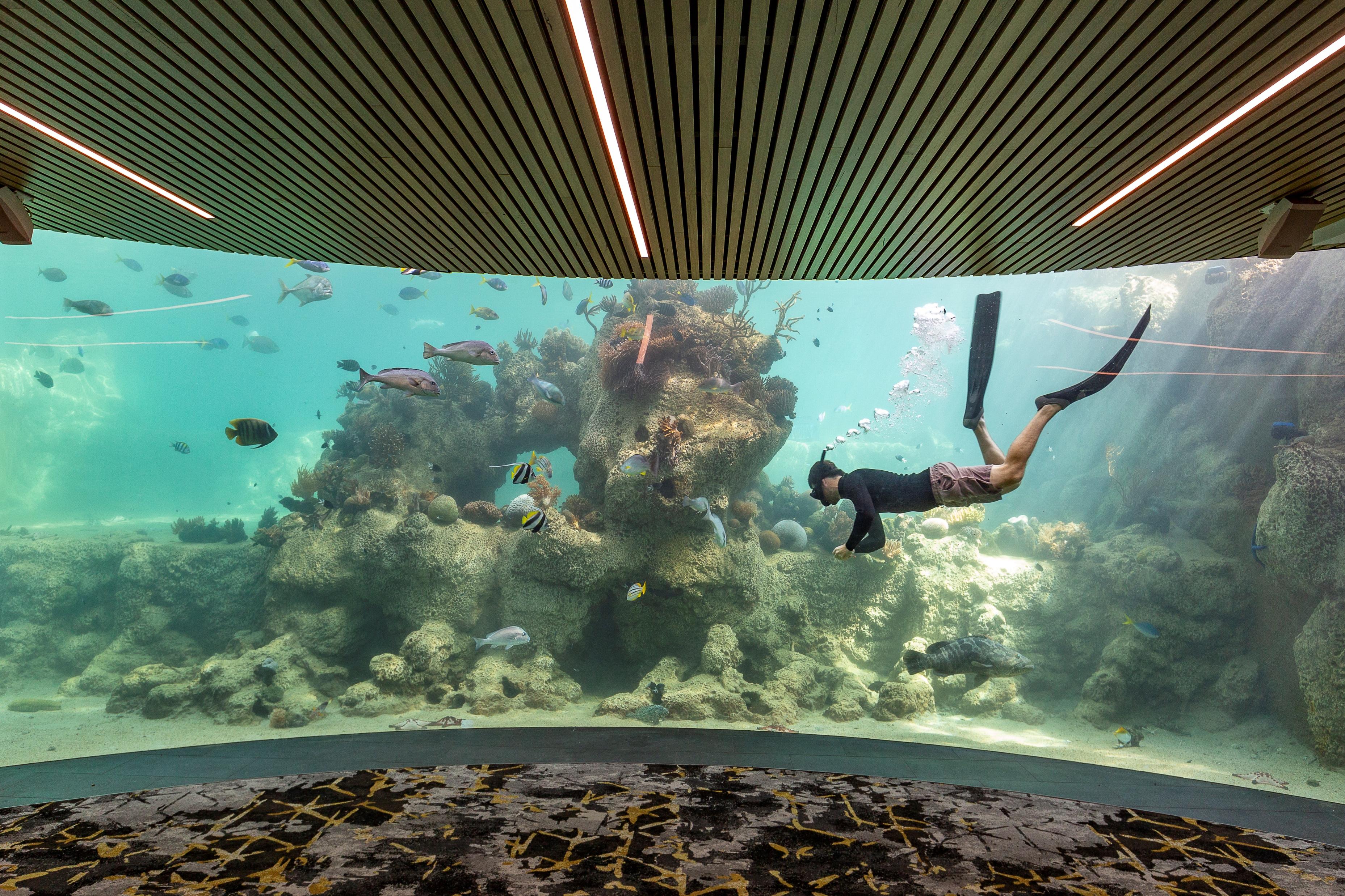 Daydream Island Resort Kültér fotó
